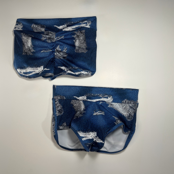 Cheeky Shorts - Distressed Dream